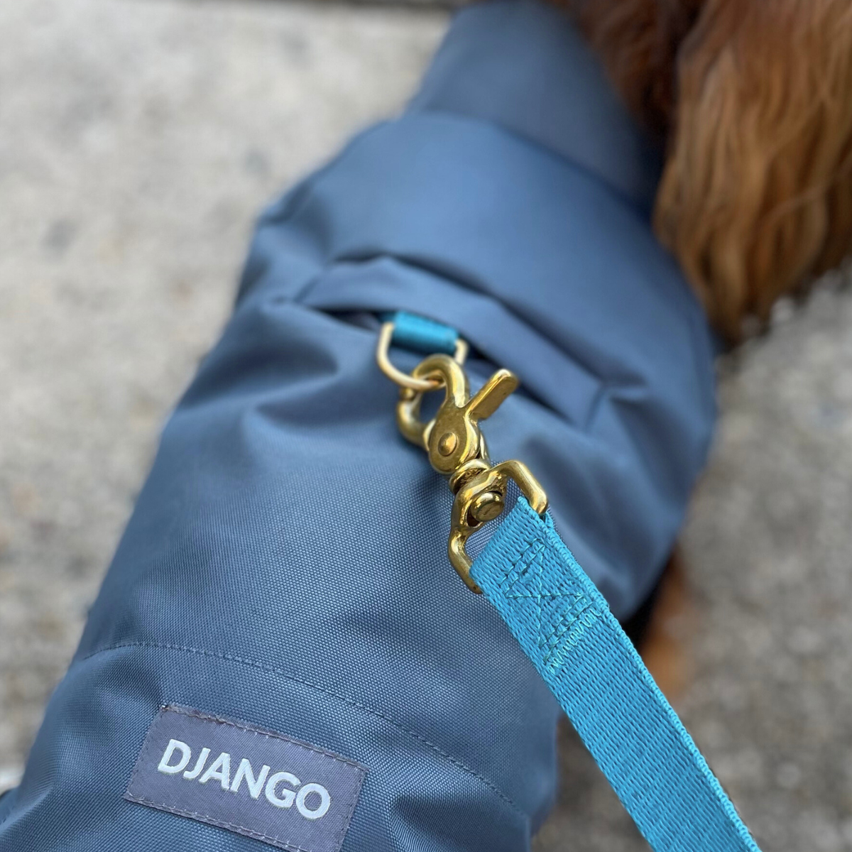 Close-up view of easy-access harness hole on the back of DJANGO Reversible Puffer Dog Coat, as shown on a longhaired small dog while walking outside on sidewalk