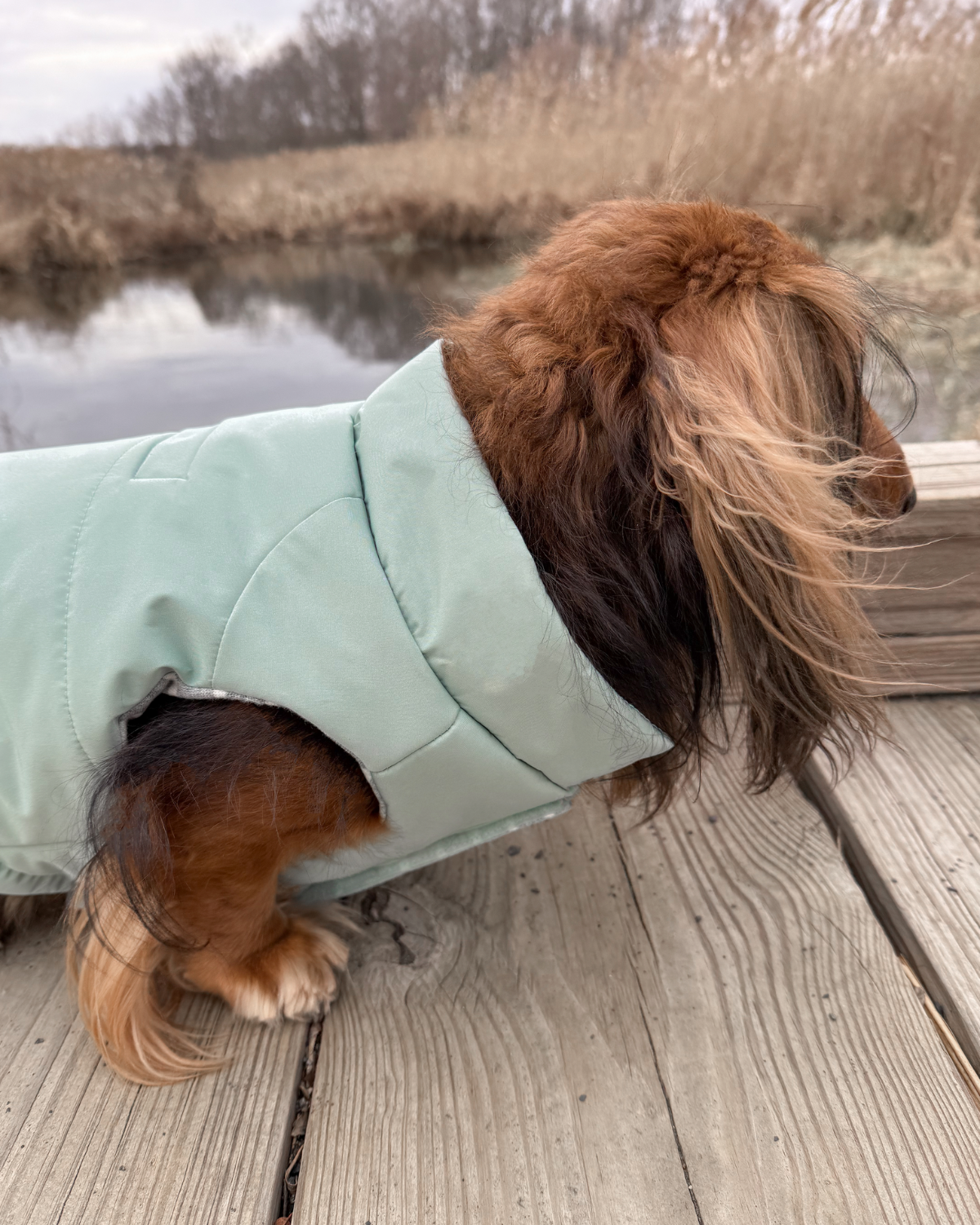 The Snowline™ Puffer Dog Coat is built with convenience and comfort in mind. It features an adjustable hem for a custom fit and oversized armholes for full range of motion—perfect for active pups. A leash portal on the back ensures compatibility with DJANGO dog harnesses, making this the best puffer coat for dachshunds and other small breeds.