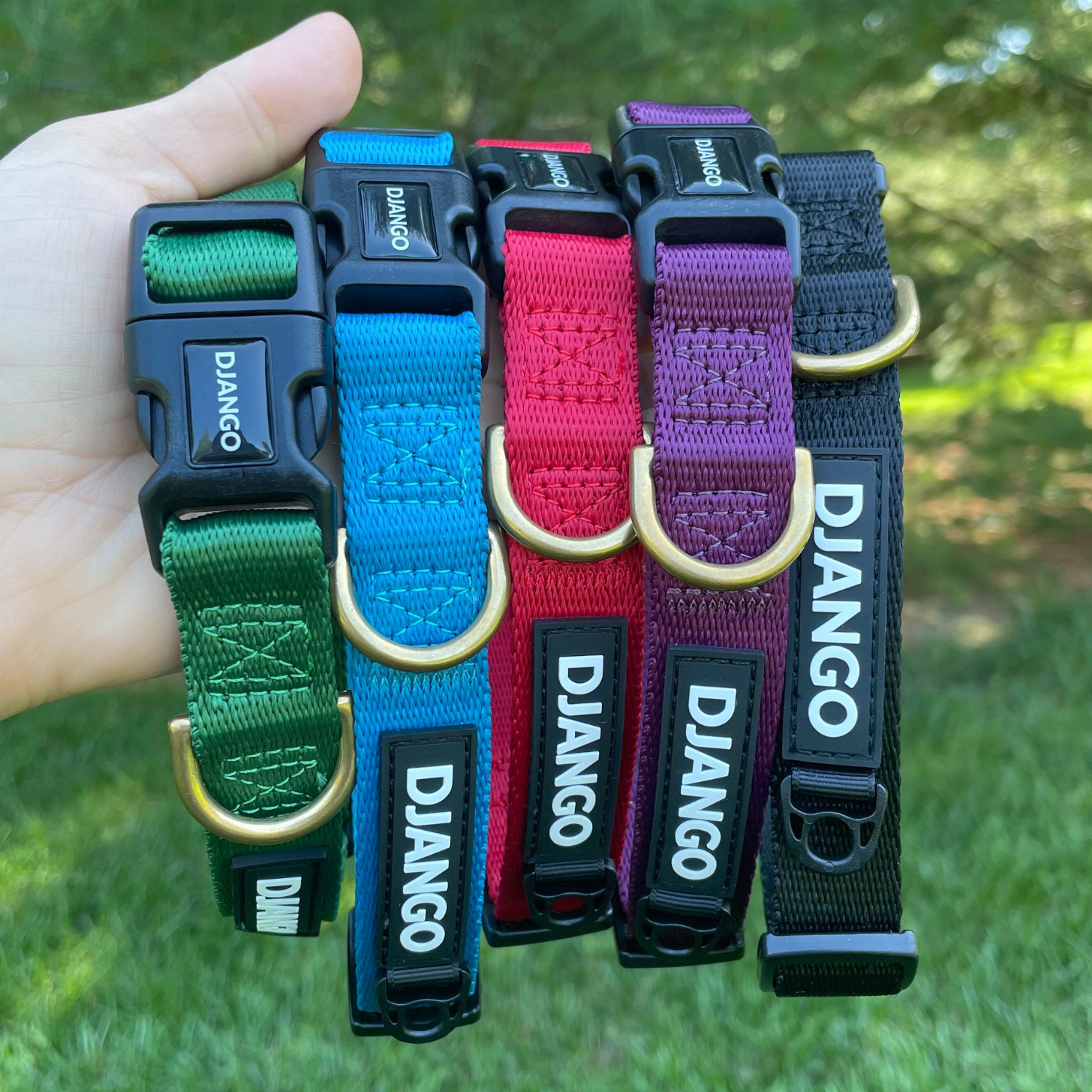 Best small and medium dog collars for active growing puppies