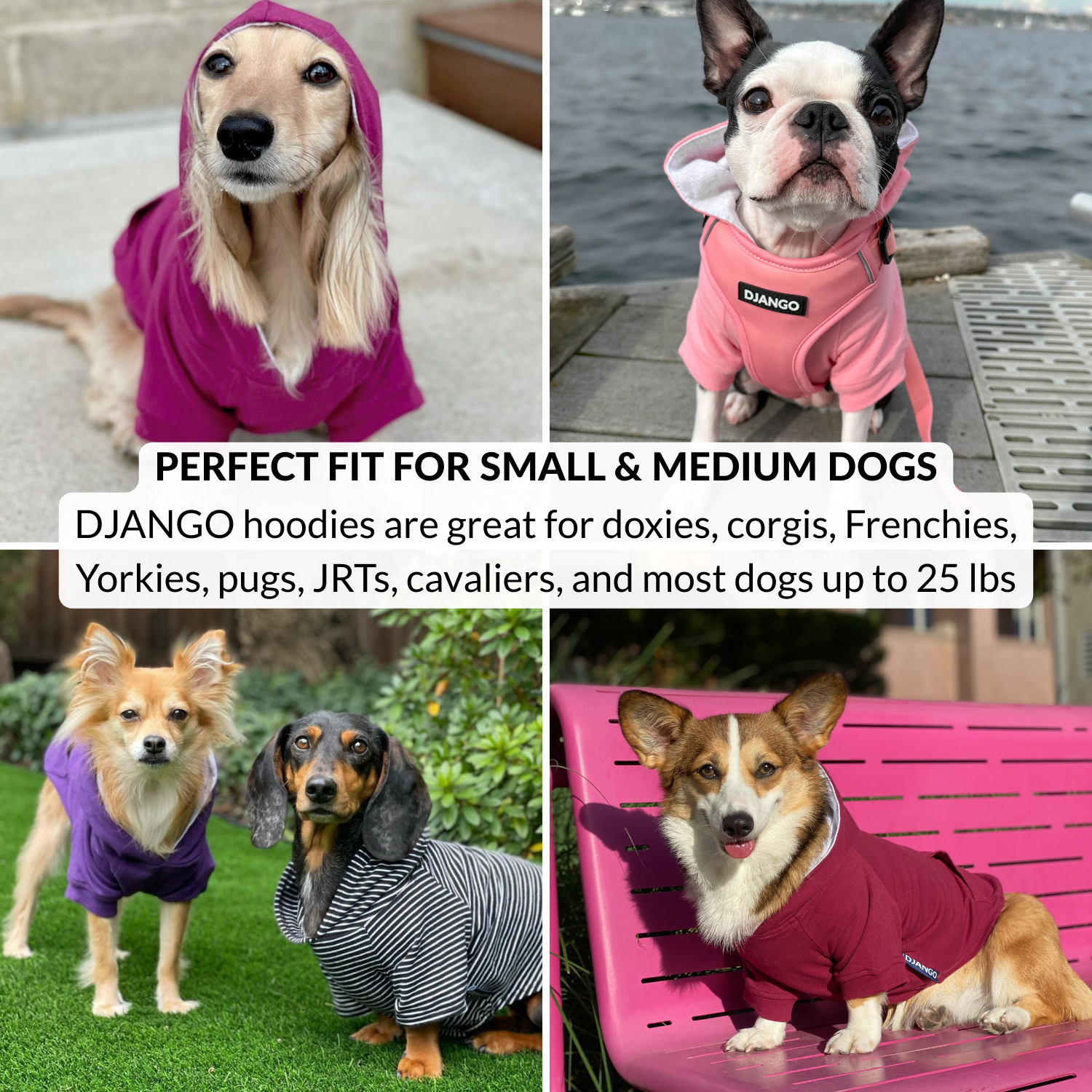 Collage of dogs wearing DJANGO dog hoodies in various colors and settings.