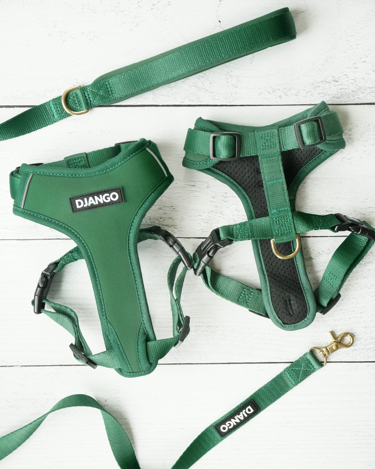 Front and back lay flat views of DJANGO Adventure Dog Harness in Forest Green with matching leash and solid cast brass hardware