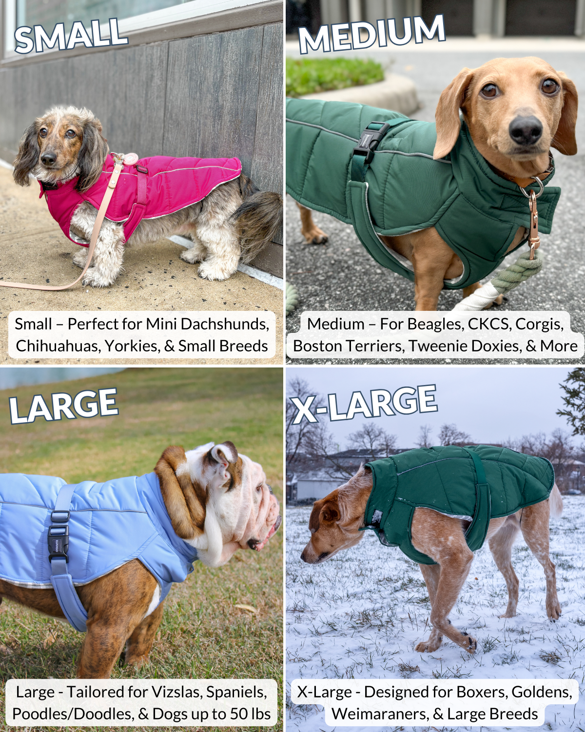 Dog coats in small, medium, large, and x-large sizes with corresponding dog breeds including dachshund, french bulldog, english bulldog, australian cattle dog, large breed, and heeler mix