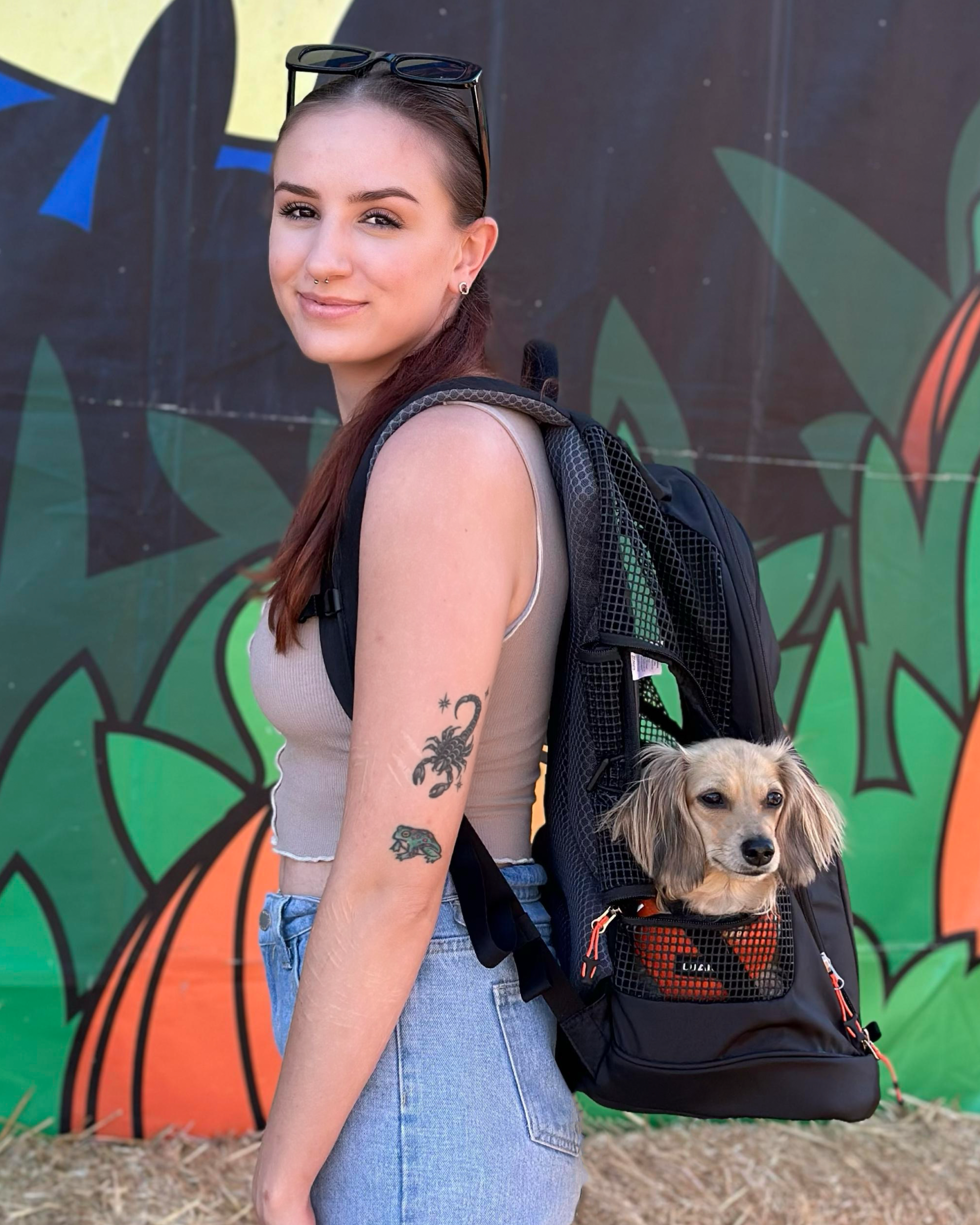 Young woman carrying a longhaired dachshund in the DJANGO dog carrier backpack — hands-free small dog travel and hiking gear for dachshunds, corgis, French bulldogs, and pugs