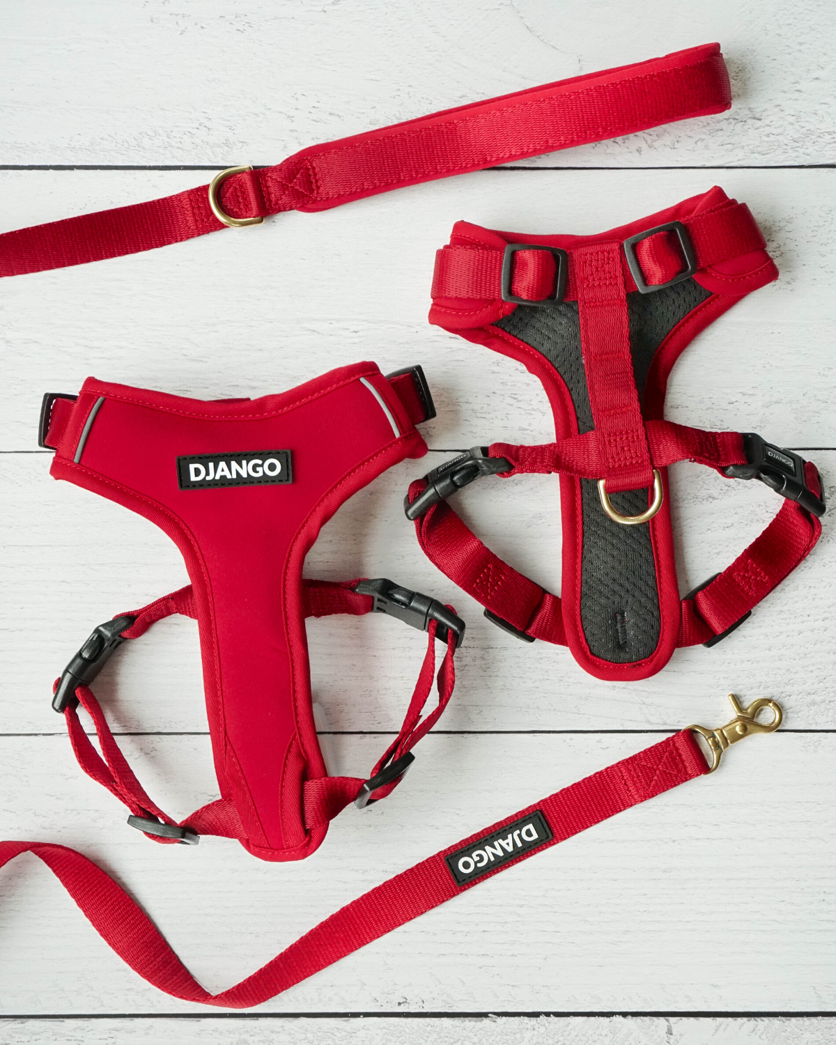 Weather-resistant and escape-proof, this secure dog harness is perfect for hiking, running, and everyday outdoor adventures