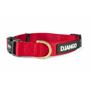 DJANGO Adventure Dog Collar in Crimson Red - Modern, durable, and stylish collar for small and medium sized dogs and puppies with solid cast brass hardware - djangobrand.com