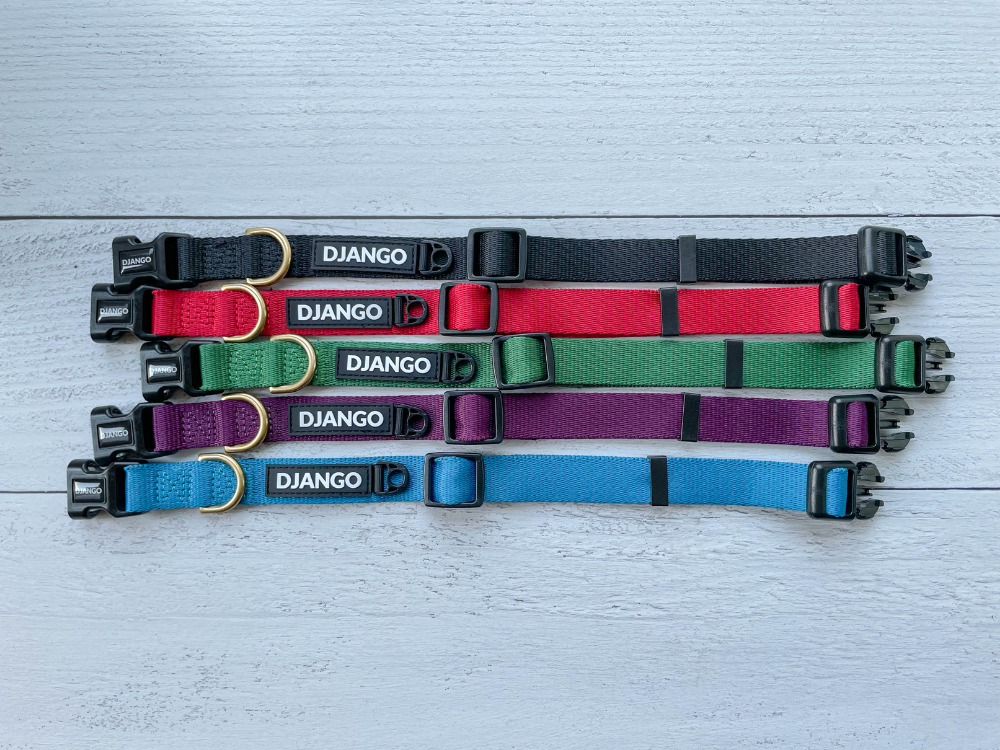 DJANGO Adventure Dog Collars - Modern, durable, and stylish collar for small and medium sized dogs and puppies with solid cast brass hardware - djangobrand.com