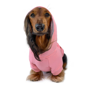 DJANGO Dog Hoodie in Quartz Pink - Designed for warmth, comfort, and function, our Quartz Pink dog hoodies are fully lined and have a reinforced leash portal, a stretchy elastic waistband, and a back pocket. - djangobrand.com