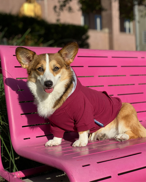 Maroon 2024 dog sweater