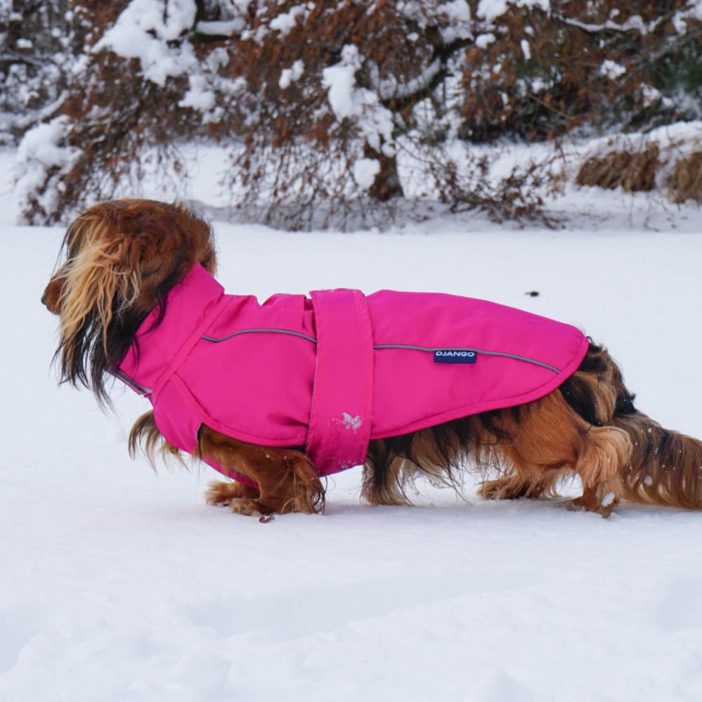 DJANGO City Slicker All-Weather Water-Repellent and Windproof Dog Jacket, Dog Raincoat and Dog Winter Coat in Cerise Pink - djangobrand.com