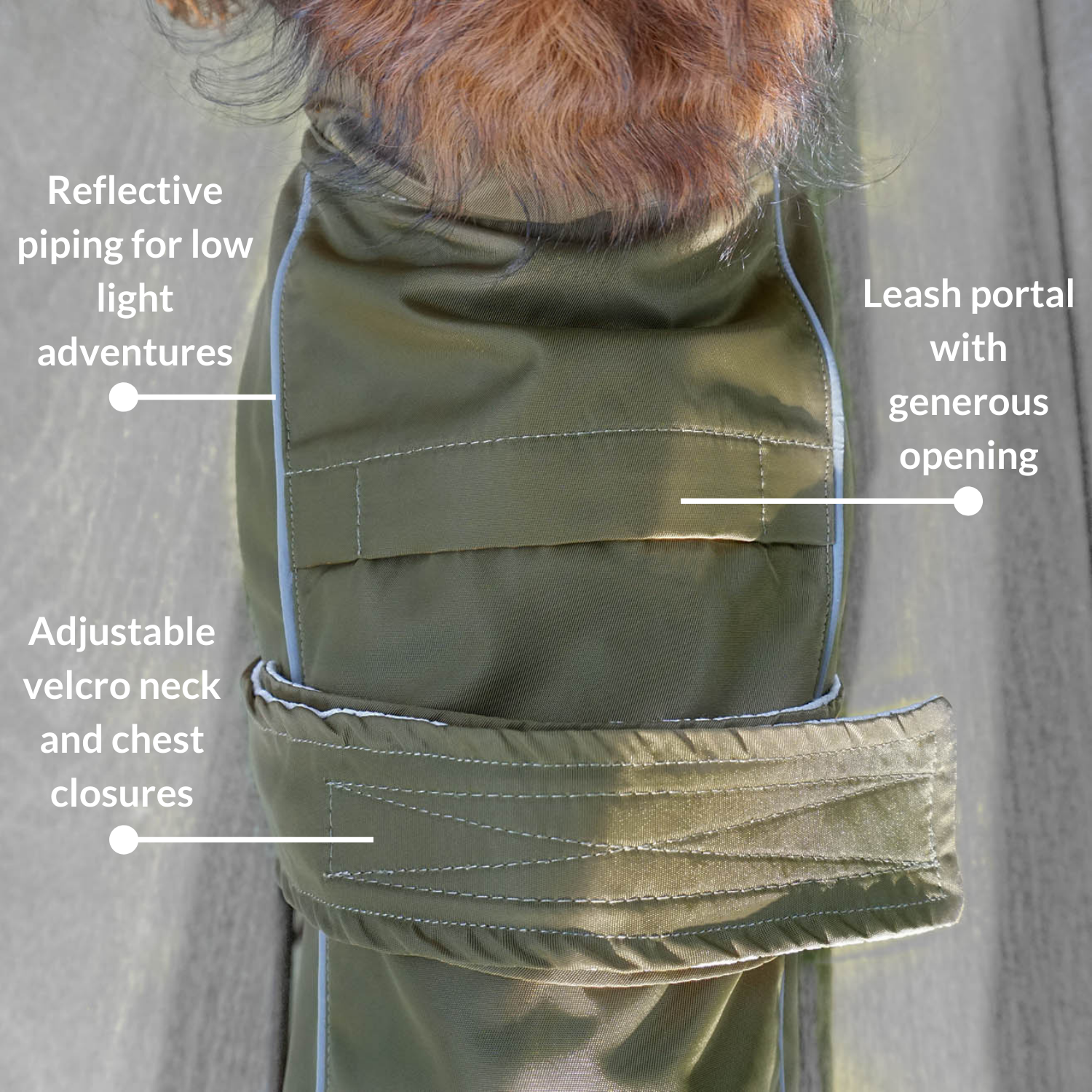DJANGO City Slicker All-Weather Water-Repellent and Windproof Dog Jacket, Dog Raincoat and Dog Winter Coat in Army Green - djangobrand.com