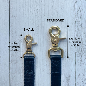 DJANGO Adventure Dog Leash in Pacific Blue – Strong, Comfortable, and Stylish Dog Leash with Solid Brass Hardware and Padded Handle - Designed for Outdoor Adventures and Everyday Use - djangobrand.com