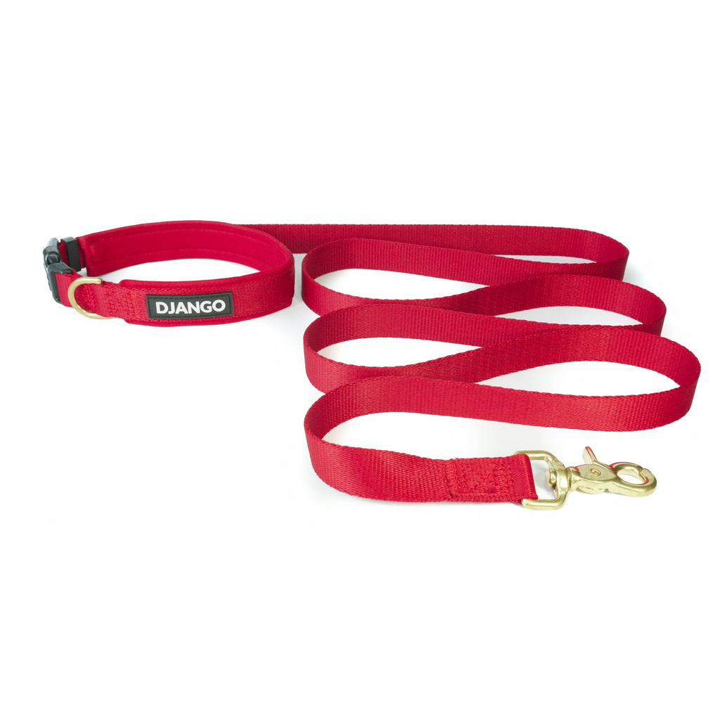 7.5 hands free leash for service dogs Adjustable Hands-Free Dog Leash, 6.5 ft