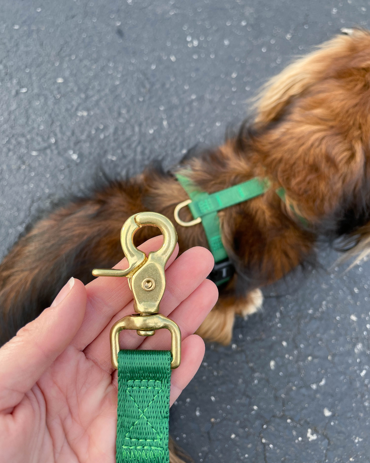 DJANGO's Adventure Dog Leash collection features beautiful solid cast brass hardware - djangobrand.com