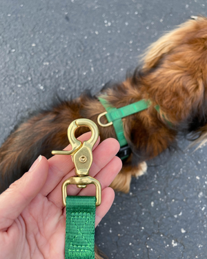DJANGO Adventure Dog Leash in Forest Green – Strong, Comfortable, and Stylish Dog Leash with Solid Brass Hardware and Padded Handle - Designed for Outdoor Adventures and Everyday Use - djangobrand.com