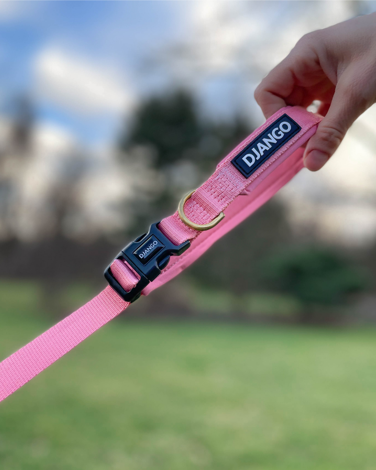 Adjustable Hands-Free Adventure Dog Leash - Quartz Pink
