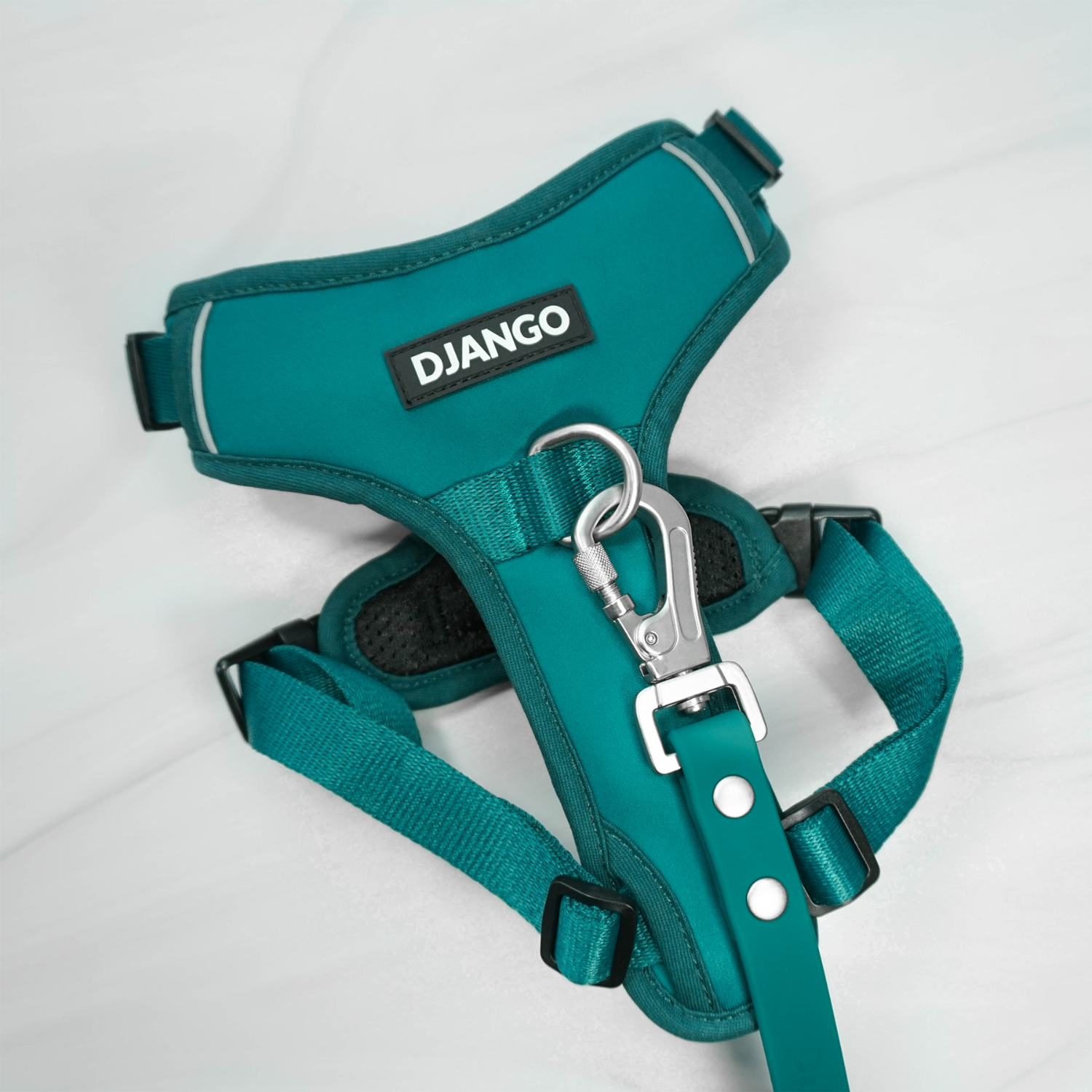 DJANGO Tahoe No Pull Dog Harness and matching Tahoe Waterproof Dog Leash set in Dark Teal Green - djangobrand.com