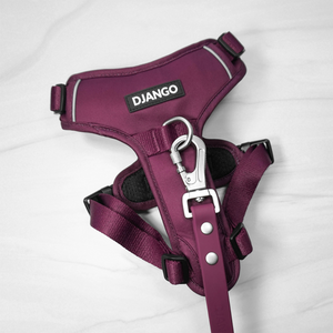 DJANGO Tahoe No Pull Dog Harness in Raspberry Purple - A comfortable, lightweight, padded, and adventure-ready no pull dog harness with front and back clips. - djangobrand.com