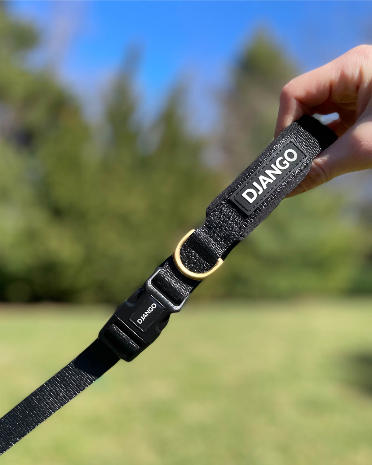 DJANGO black dog leash secured around waist for hands-free hiking