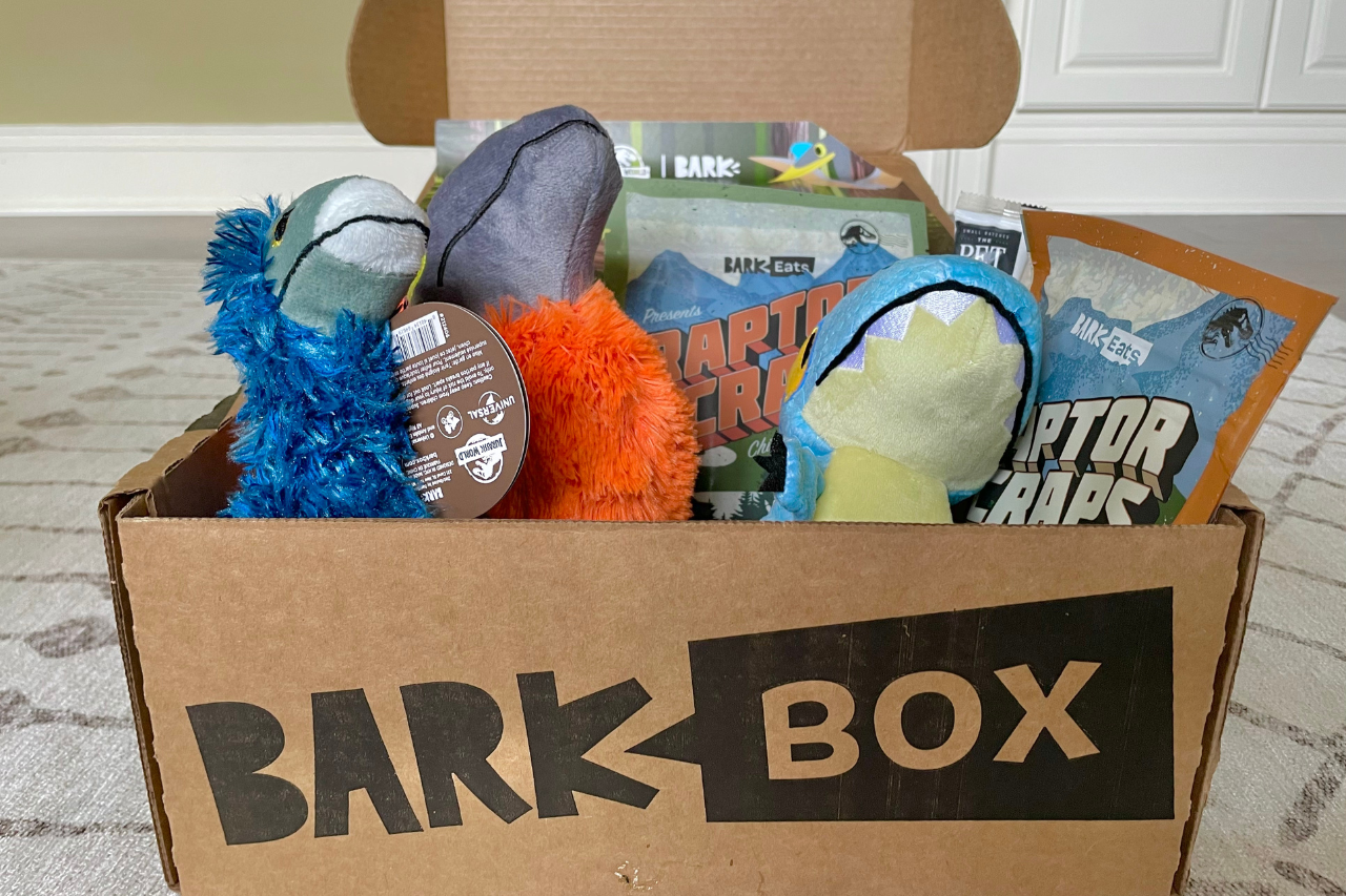 BarkBox 12 Month Subscription