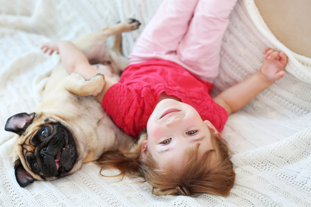 The Best 17 Small and Medium Dog Breeds for Families With Kids - DJANGO Dog Blog