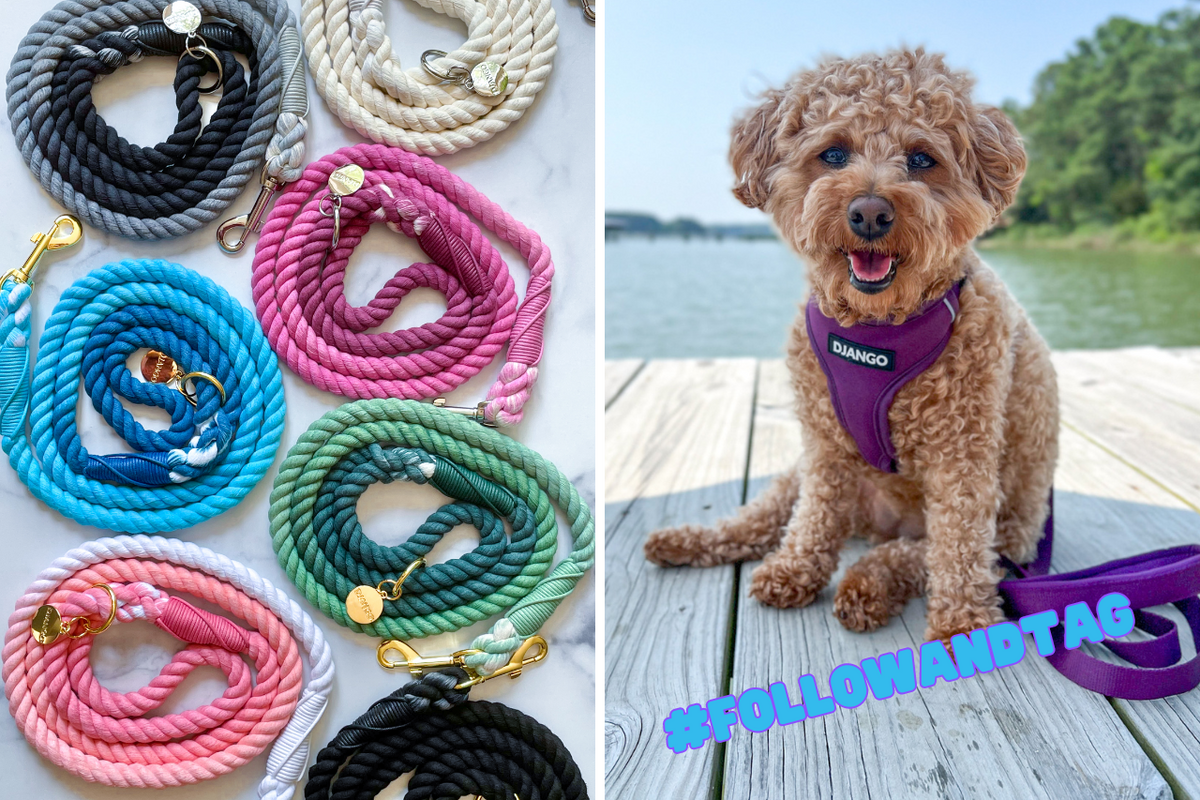 Boutique dog accessories online