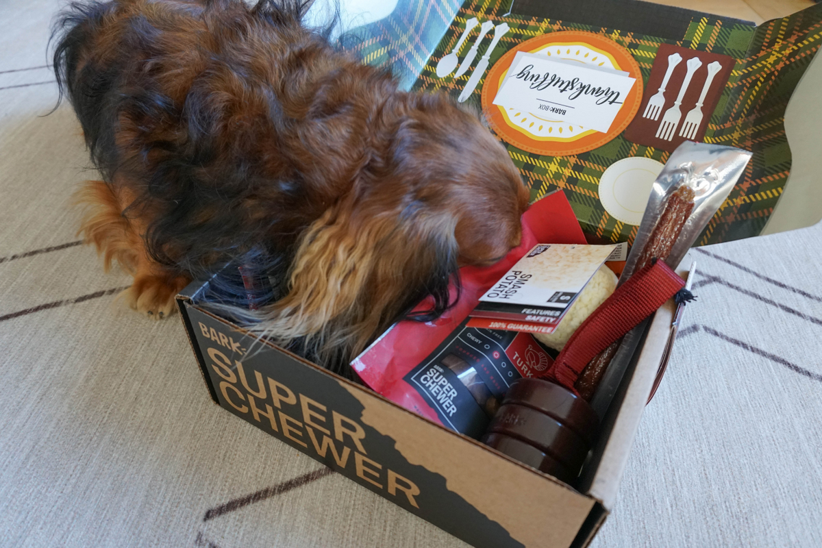 The 6 Best Dog Box Subscriptions to Buy in 2024