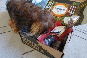The 6 Best Dog Box Subscriptions to Buy Your Dog