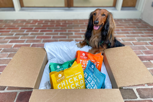 A Pup Above Fresh Dog Food Review | Our Personal Experience With the Sous-Vide Dog Food Subscription Service