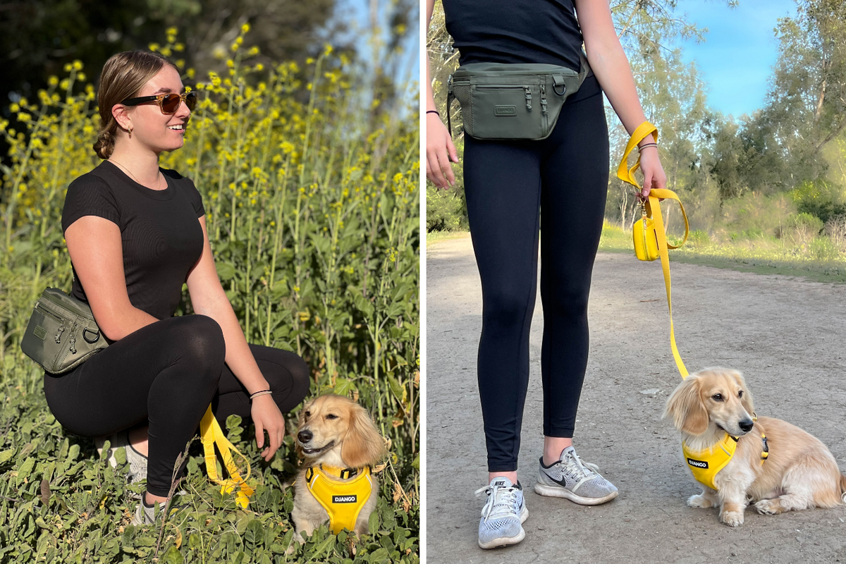 The Best Dog Walking Fanny Pack the Nolita Belt Bag is Here