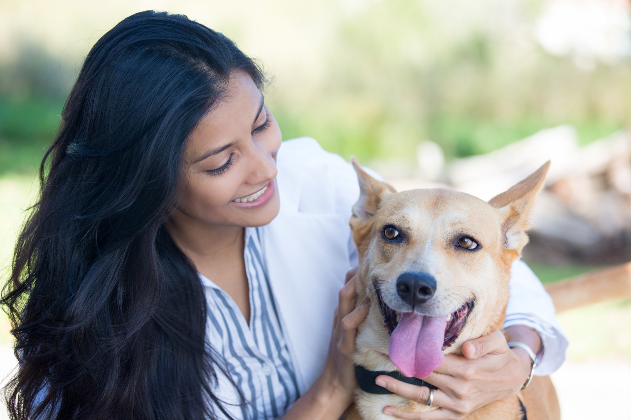 Doggy Daycare: What To Expect, How Much It Costs, and Which Type of Dog Boarding Is Best for Your Pup - djangobrand.com