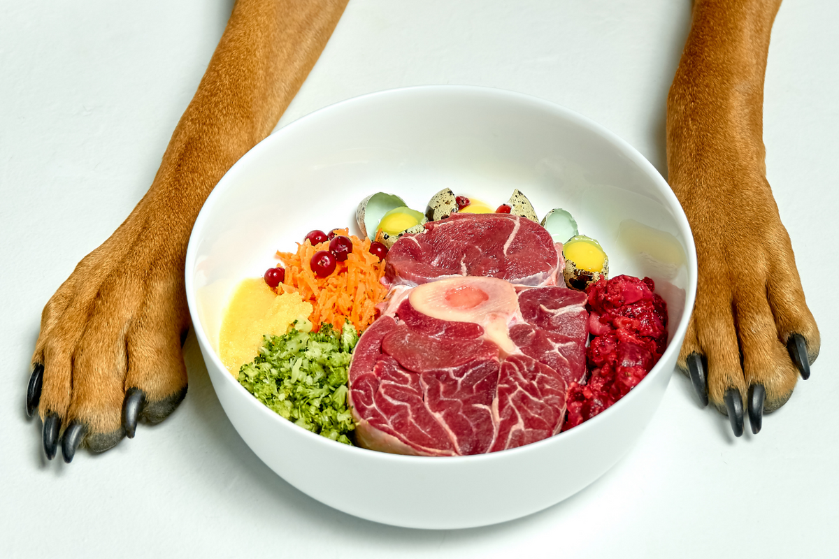 Can you feed dogs raw vegetables online