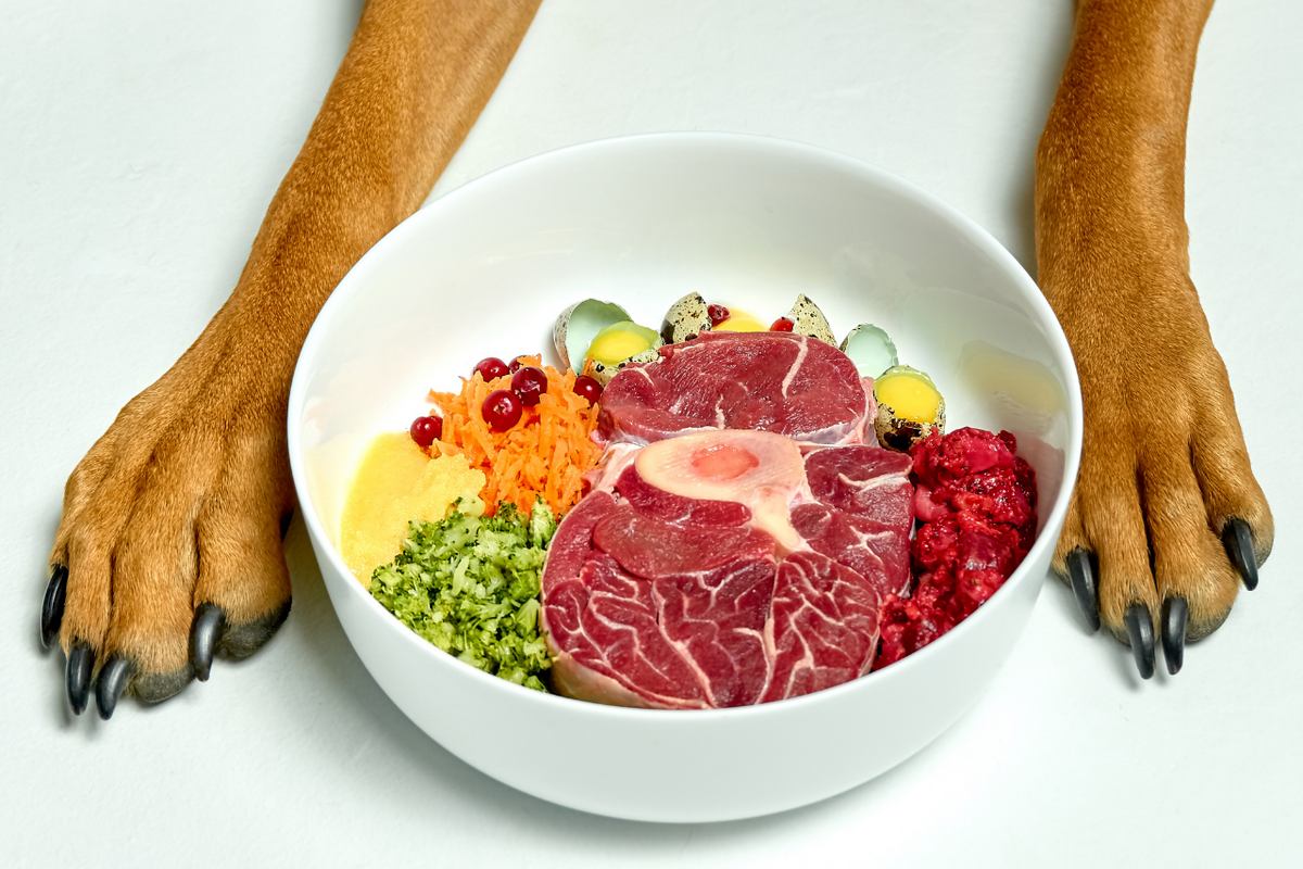 can dogs eat raw beef