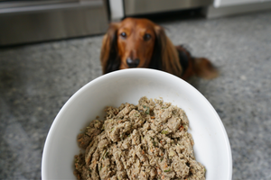DJANGO Dog Blog - The Best Fresh Dog Food Delivery Services - djangobrand.com