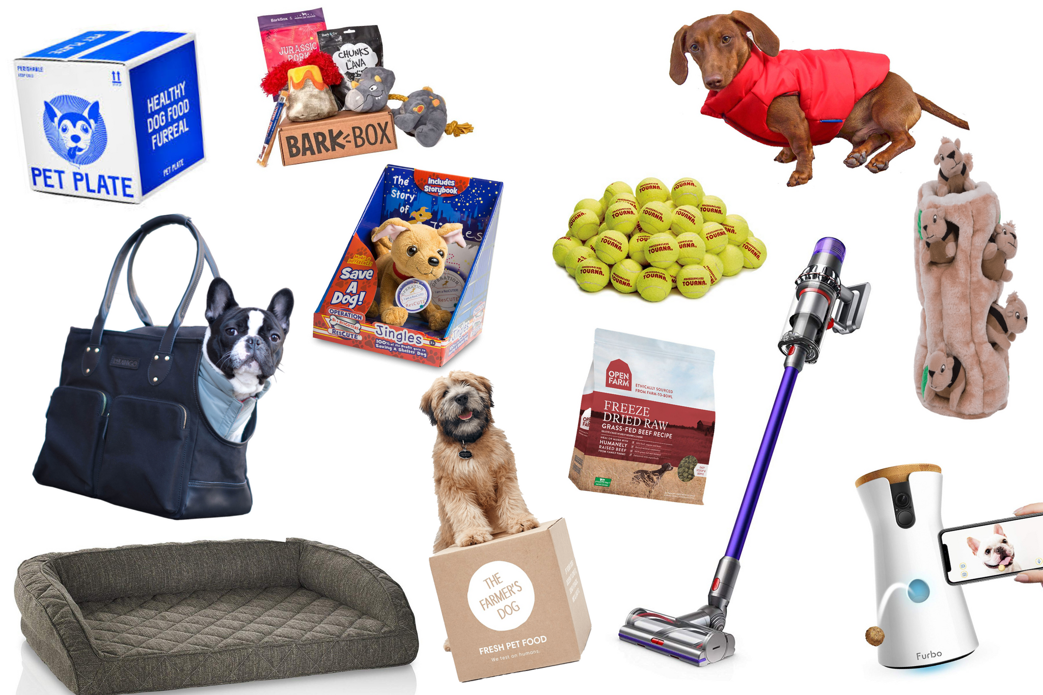 Gift ideas for 2024 new dog owners
