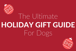 DJANGO - Holiday Dog Gift Guide 2017 - djangobrand.com