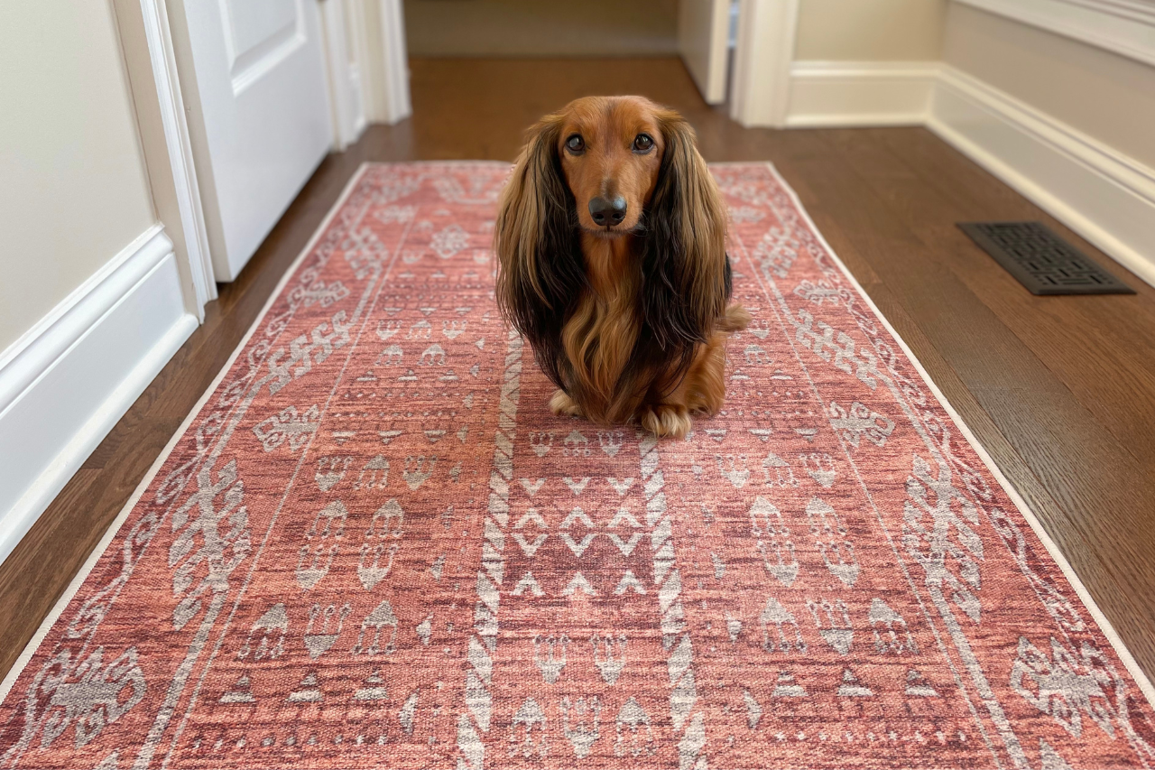 Entry way rug needs to have the right pattern and durability.