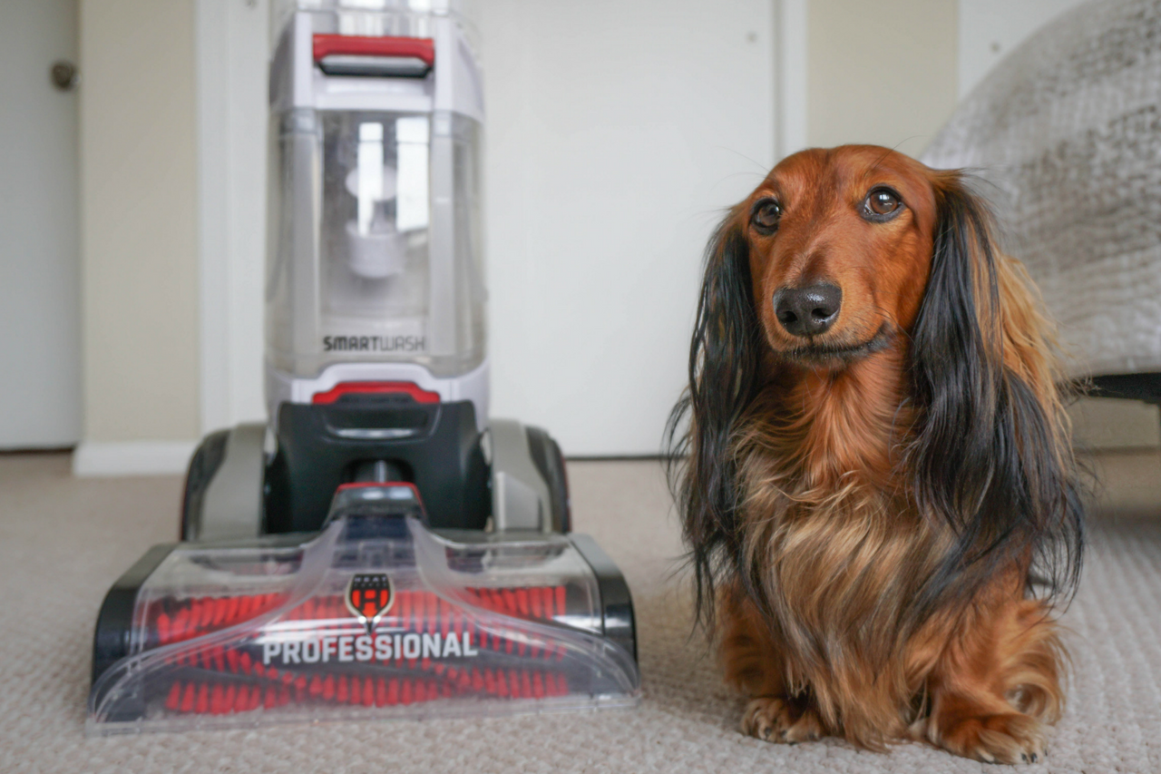 DJANGO vs. Hoover's SmartWash Advanced Pet Automatic Upright Carpet Cleaner - Home Depot