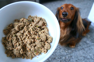 DJANGO Dog Blog: How to choose the best dog food