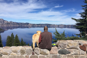 Crater Lake National Park is one of the least dog-friendly national parks. We learned this the hard way.