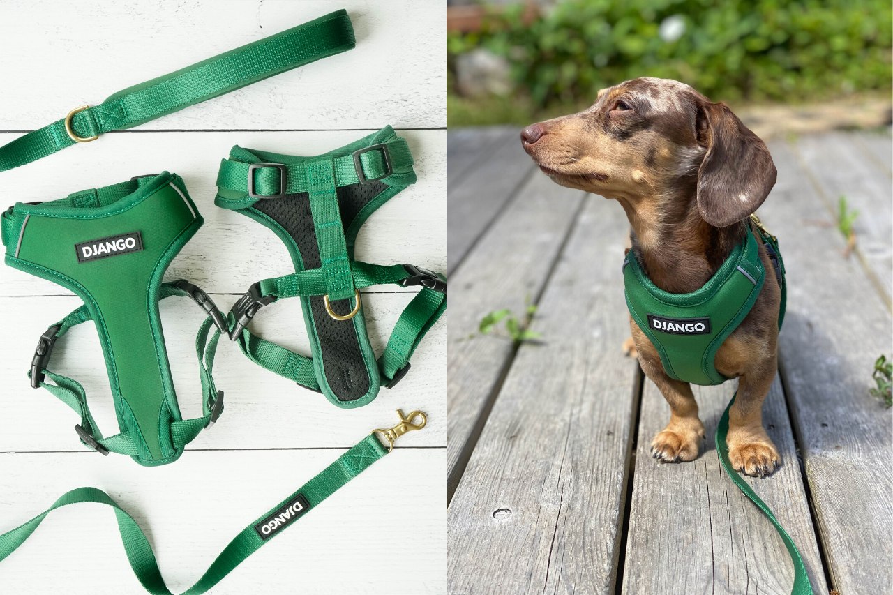 DJANGO Dog Blog - Introducing DJANGO's Adventure Dog Harness and Leash Collection - A high quality, comfortable, durable, stylish, and modern harness and leash set with solid brass hardware - djangobrand.com