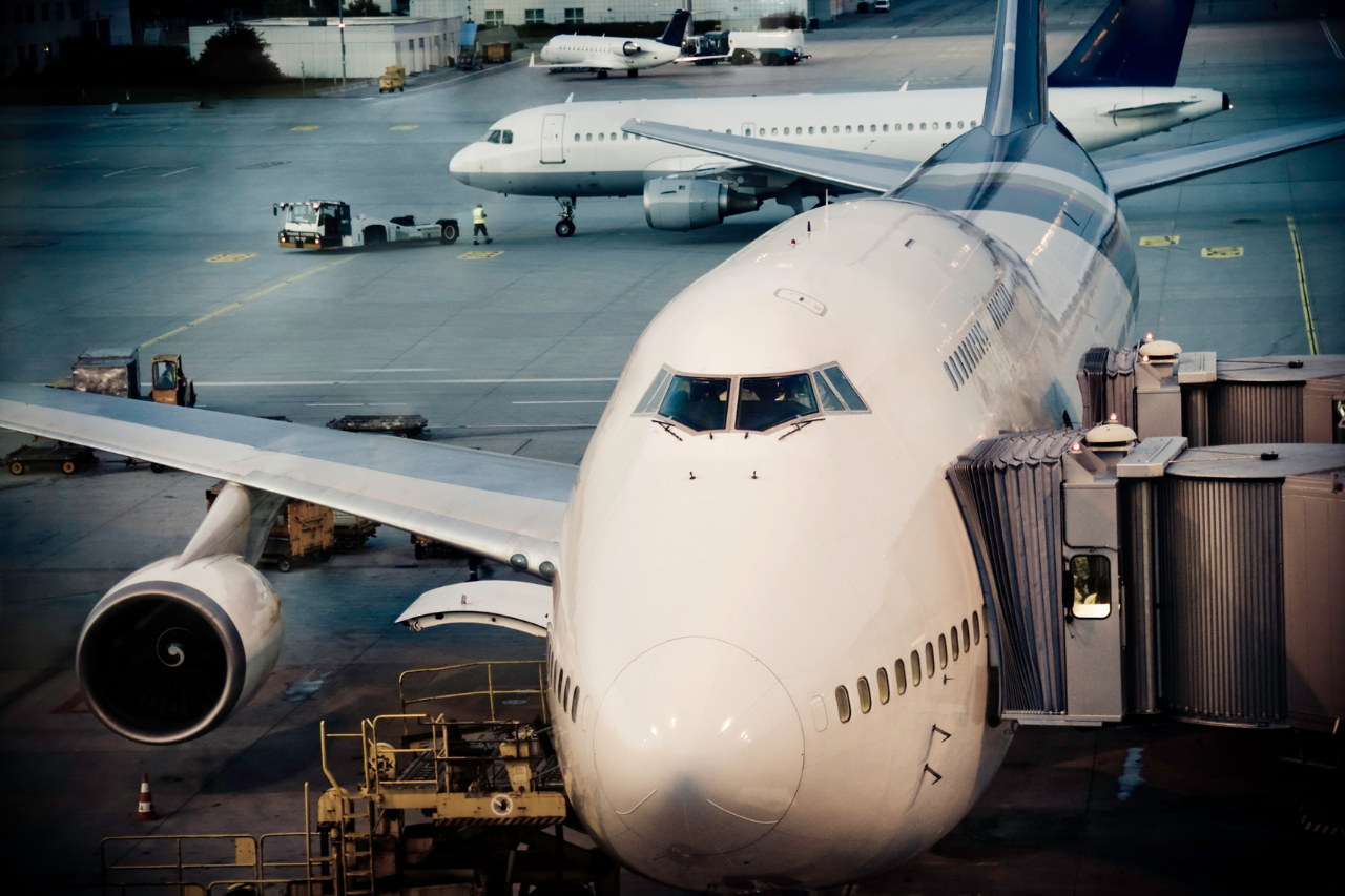 New DOT Rules for Emotional Support Animals
