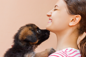 New Puppy Checklist: Everything You Need Before Bringing Home a New Dog - djangobrand.com
