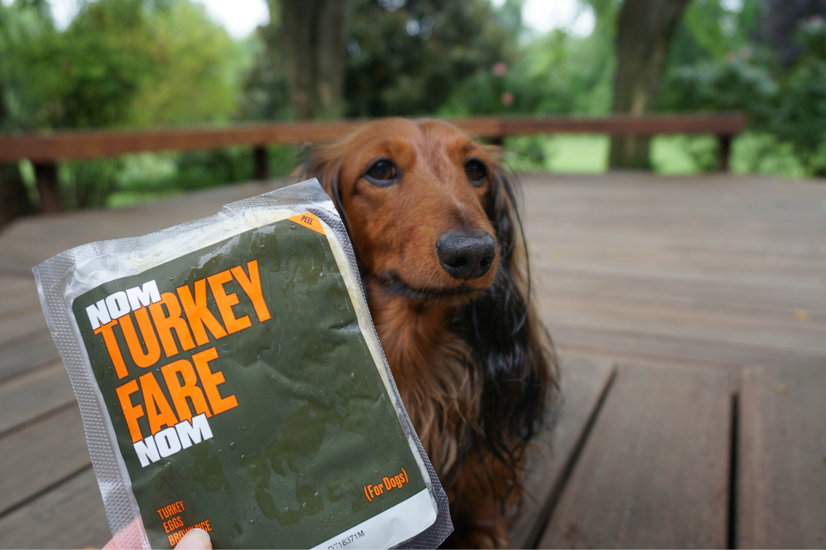 Nom Nom Dog Food Review Our Experience with the Fresh Dog Food Subsc