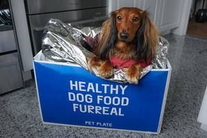 DJANGO Pet Plate Food Review | Our Experience with this Fresh Dog Food Subscription Service.png