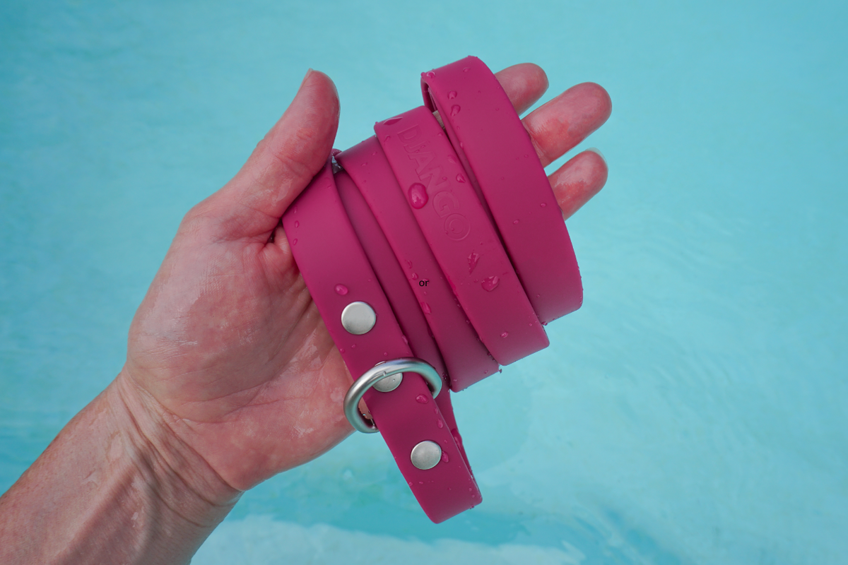 Woman's hand holding a soft and comfortable waterproof dog leash with water droplets on it above turquoise water