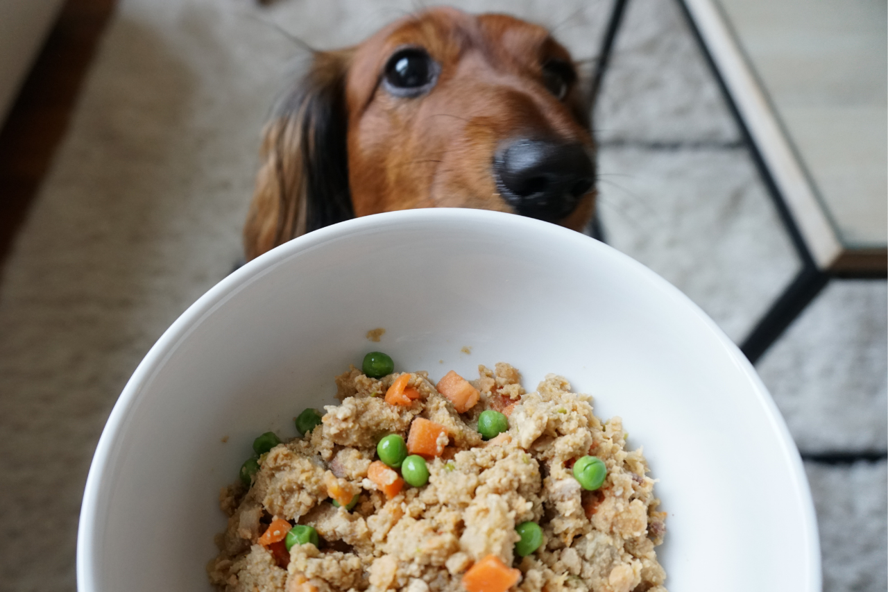 Best homemade dog food delivery deals
