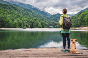 10 Best Small Dog Breeds to Take Hiking and Backpacking