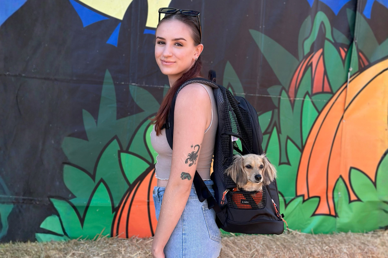 Woman wearing DJANGO dog backpack carrier and smiling with cute small dog inside and poking head out of side window