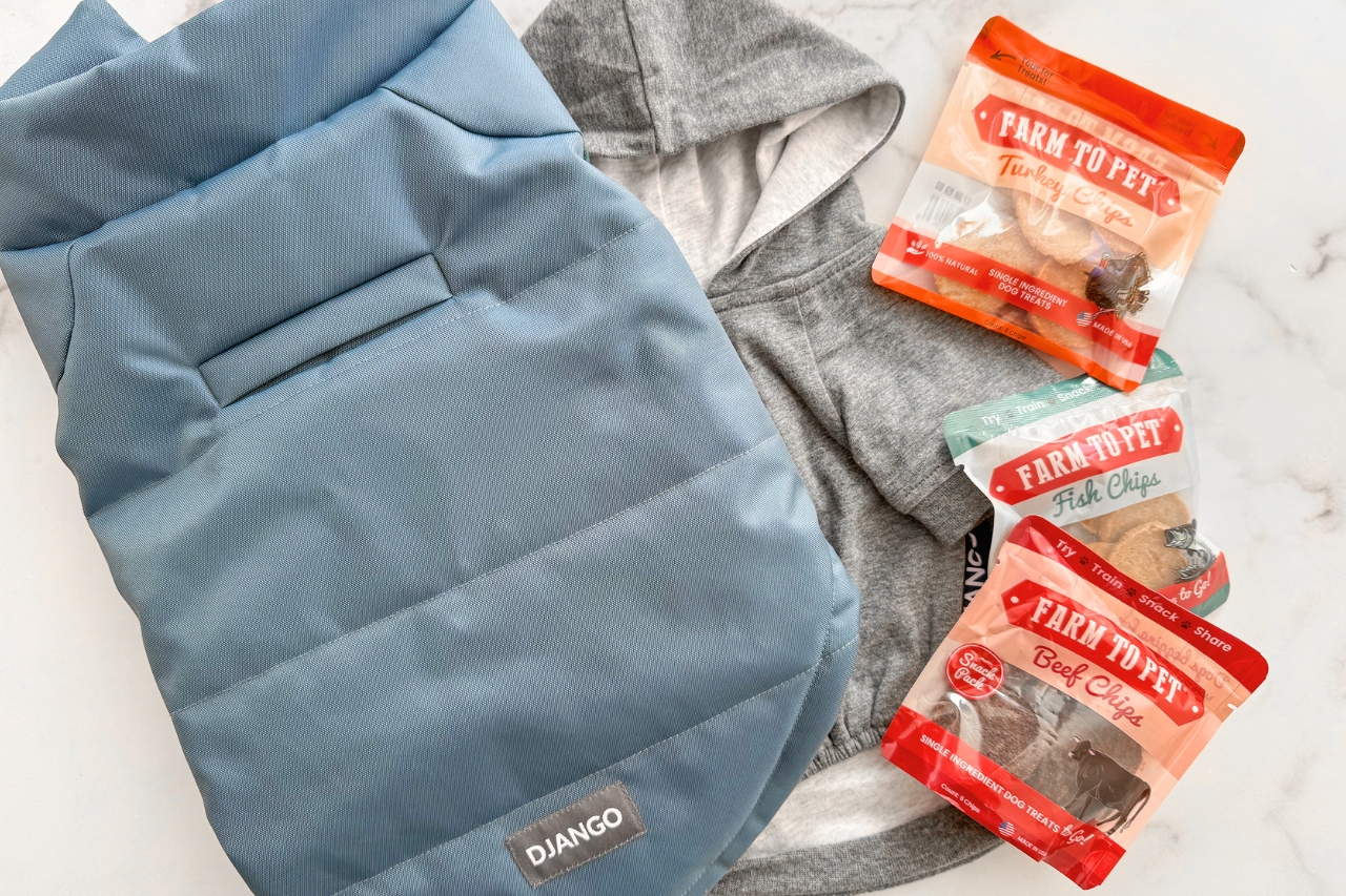 Benefits of Dog Clothing: Health, Safety, Comfort, and Training Support