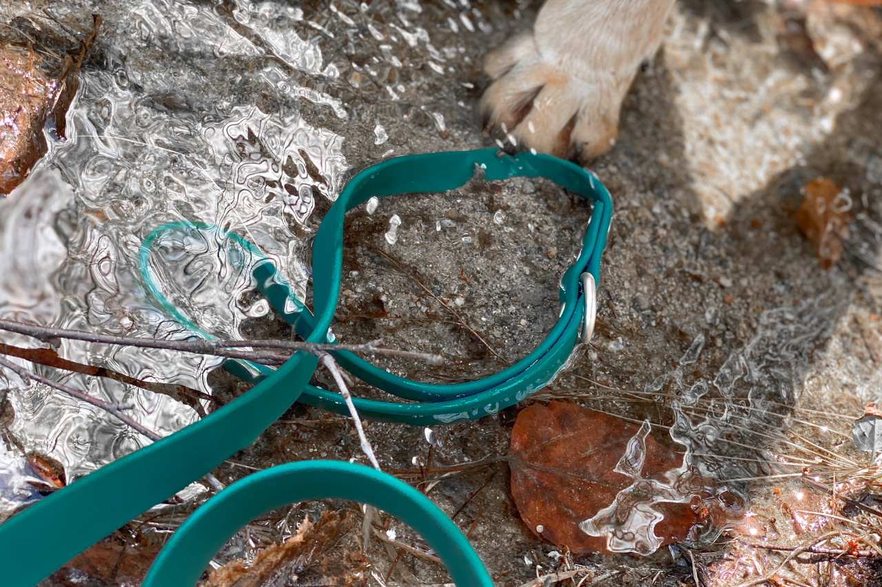 Waterproof dog leash in riverbed during adventurous outing with dog